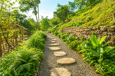 Kinh nghiệm du lịch healing giữa thiên nhiên xanh mát